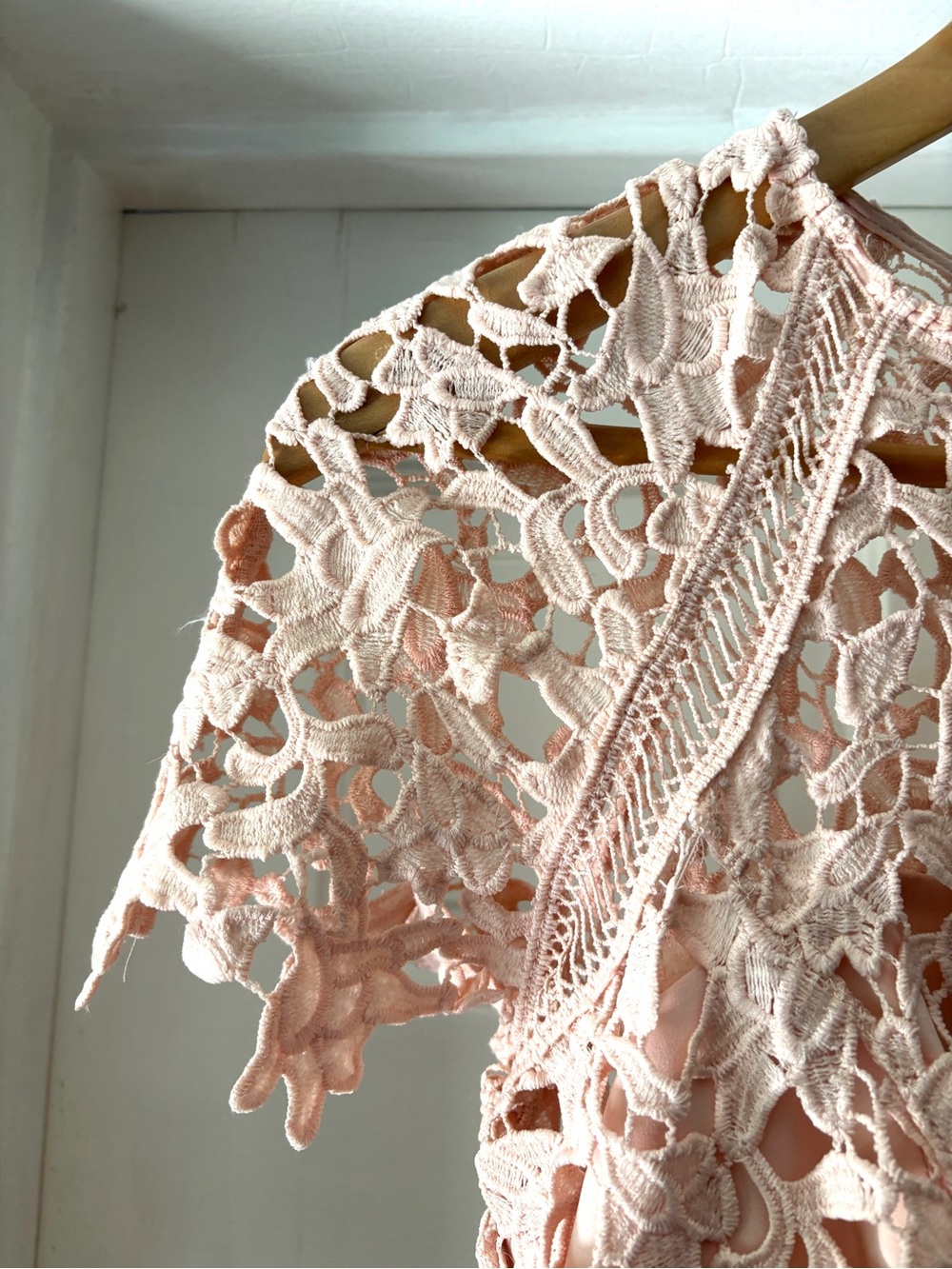 Eliza J Lace Sheath Mini Dress Crochet Lace Overlay Blush Pink Size 4P - Picture 3 of 13